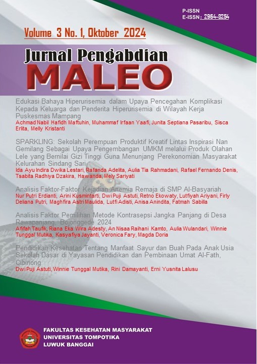 					View Vol. 3 No. 1 (2024): Jurnal Pengabdian Maleo
				